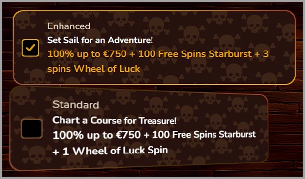Special bonus for new members at Pirate Spins casino